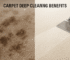 why-you-should-deep-clean-your-carpet-twice-a-year